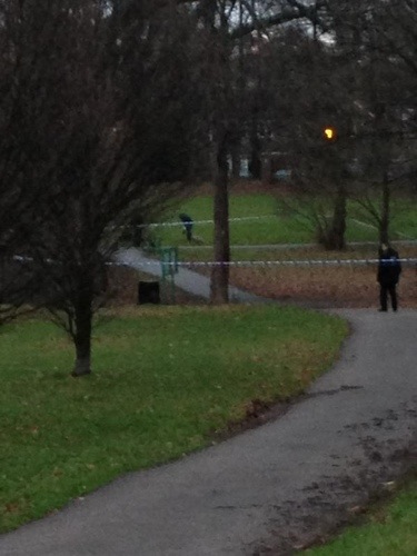 Police activity in Acton Park yesterday morning.
