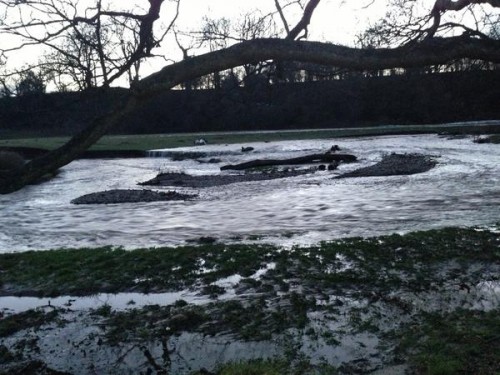 Rhian Thomas sent this picture from Erddig showing the river in full flow.