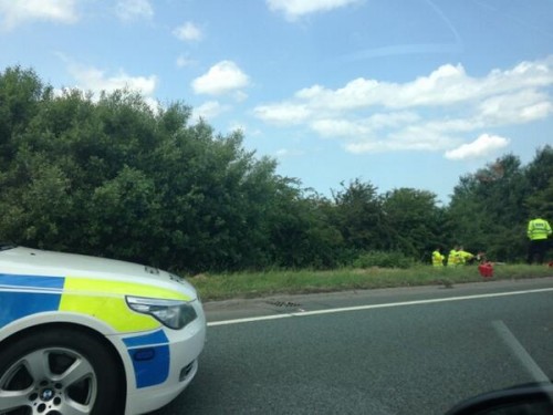 Police search teams active today on the Wrexham bypass