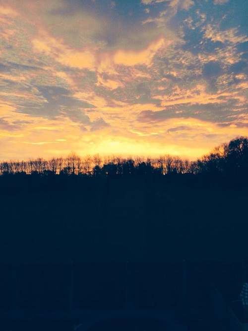Morning has broken! Thanks to Louise Acton for sending us this pic of the skies over Pandy