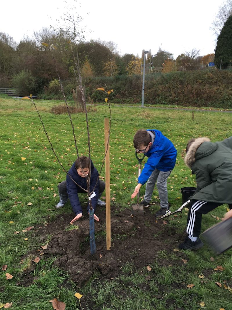 Local children plant an orchard outside their primary school - Wrexham.com