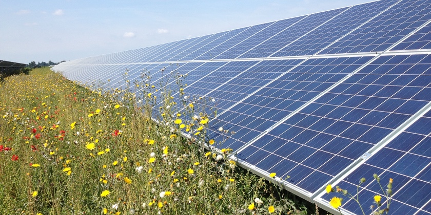 New solar farm project planned in Wrexham could power over 22,000 homes